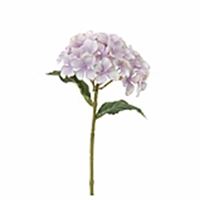 Hortensia lyslilla 28 cm